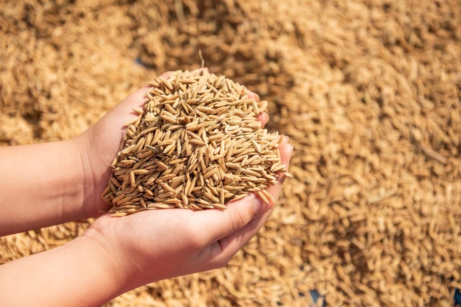 Žiniasklaida: Lenkija ragina EK užblokuoti žemės ūkio produkcijos importą iš Rusijos ir Baltarusijos