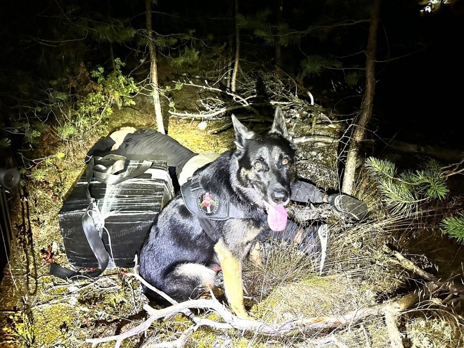 Druskininkų pasieniečiai perėmė su kontrabanda Baltarusijoje paleistus droną ir balioną