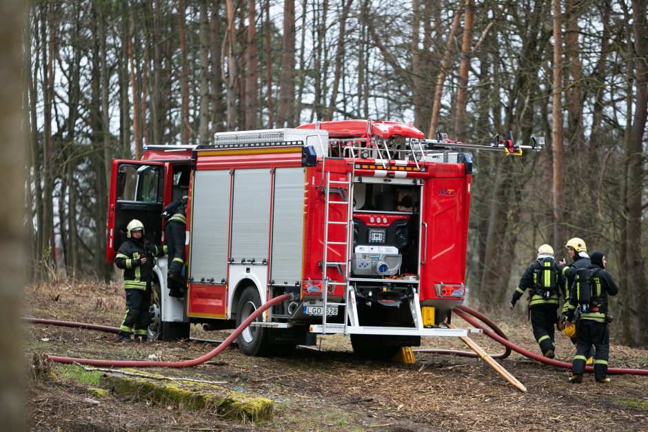 Vilniaus rajone dega didelis plotas miško paklotės