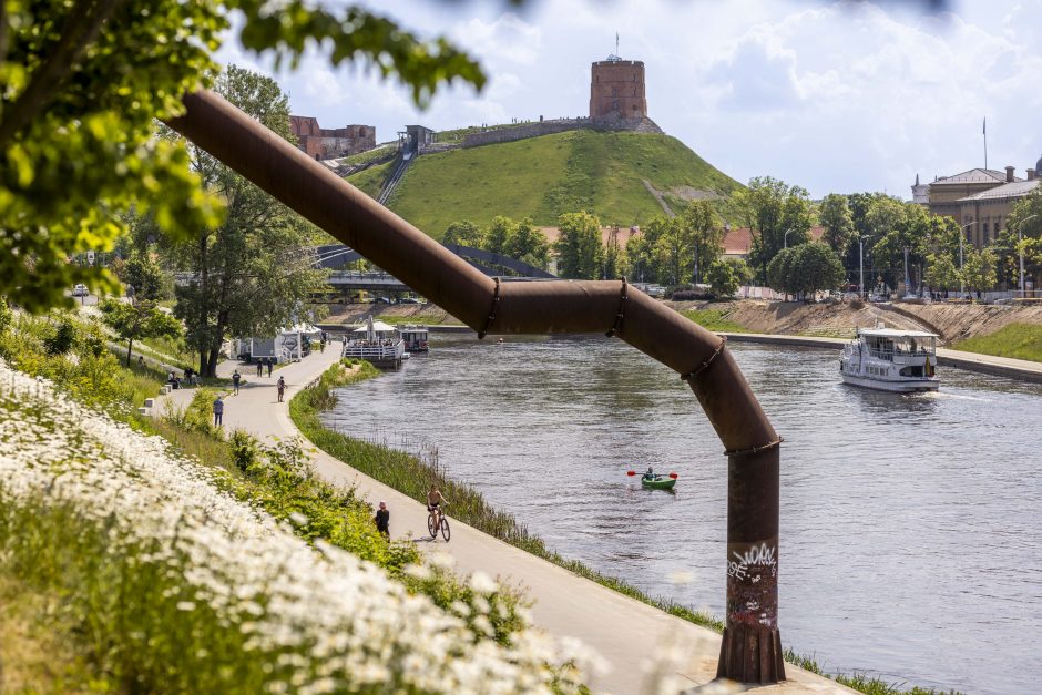 Neries pakrantėje pražydo baltos gėlės