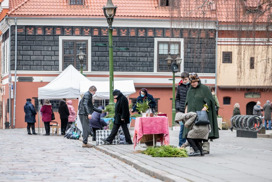 Verbų sekmadienis Kaune – džiaugsmo pradžia