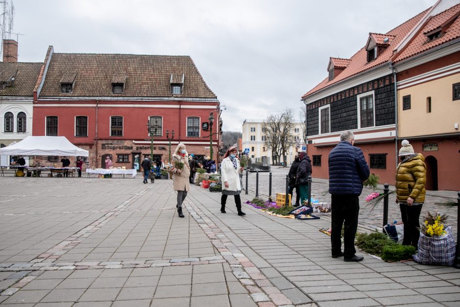 Verbų sekmadienis Kaune – džiaugsmo pradžia