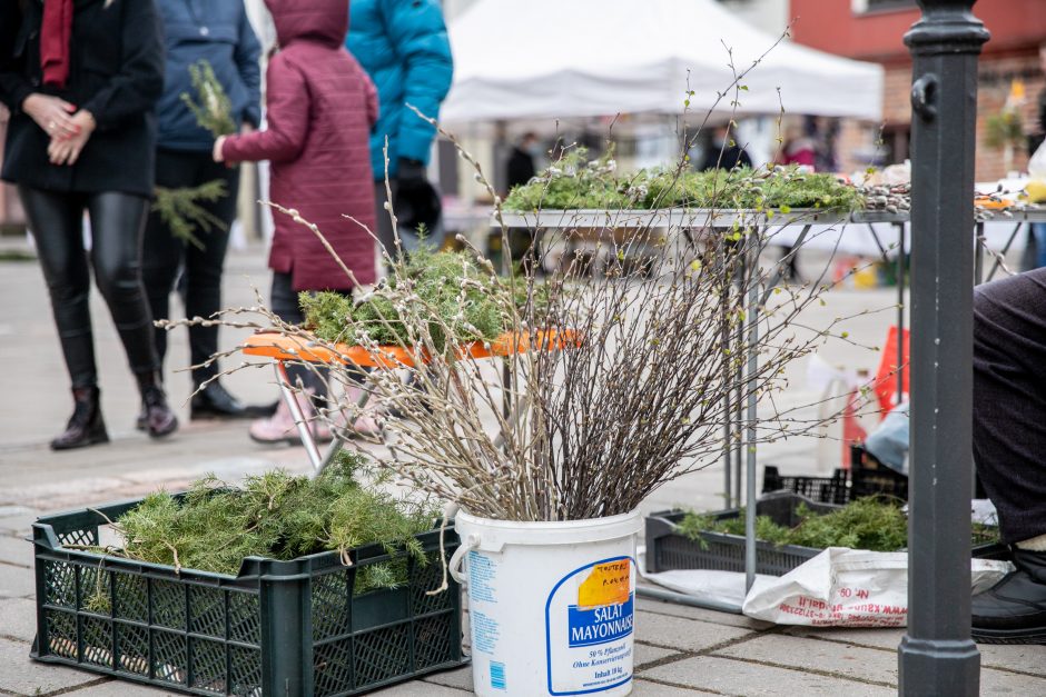 Verbų sekmadienis Kaune – džiaugsmo pradžia