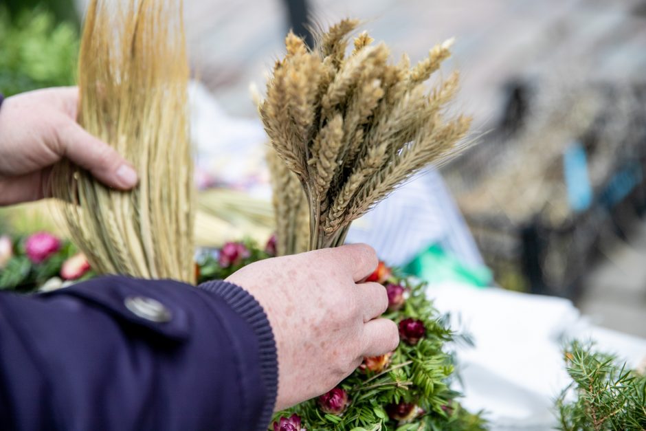 Verbų sekmadienis Kaune – džiaugsmo pradžia