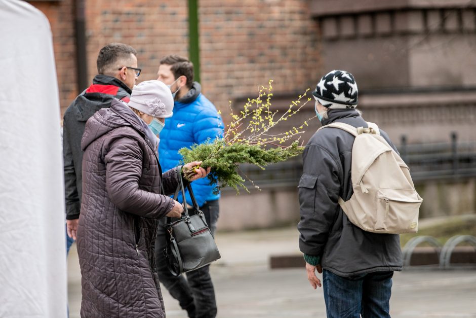 Verbų sekmadienis Kaune – džiaugsmo pradžia