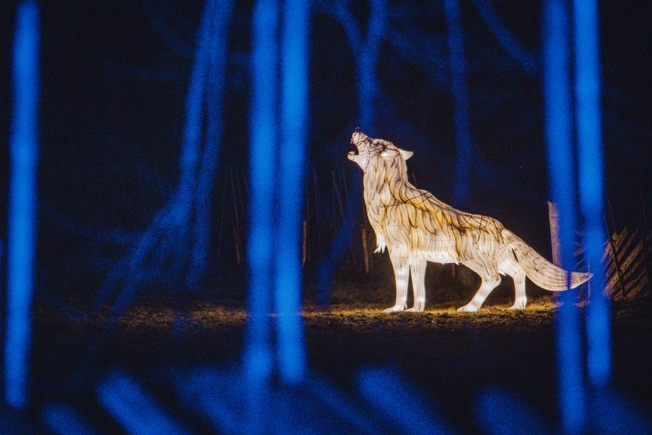 Šventė Rumšiškėse netrukus gesins magiškas šviesas 