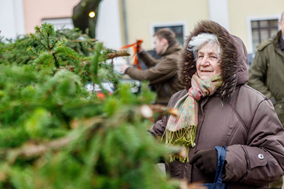 Kalėdos jau keliauja į kauniečių namus: prie nemokamų eglės šakų žmonių – kaip koncerte