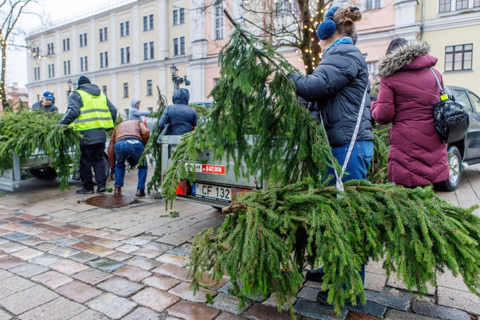 Kalėdos jau keliauja į kauniečių namus: prie nemokamų eglės šakų žmonių – kaip koncerte