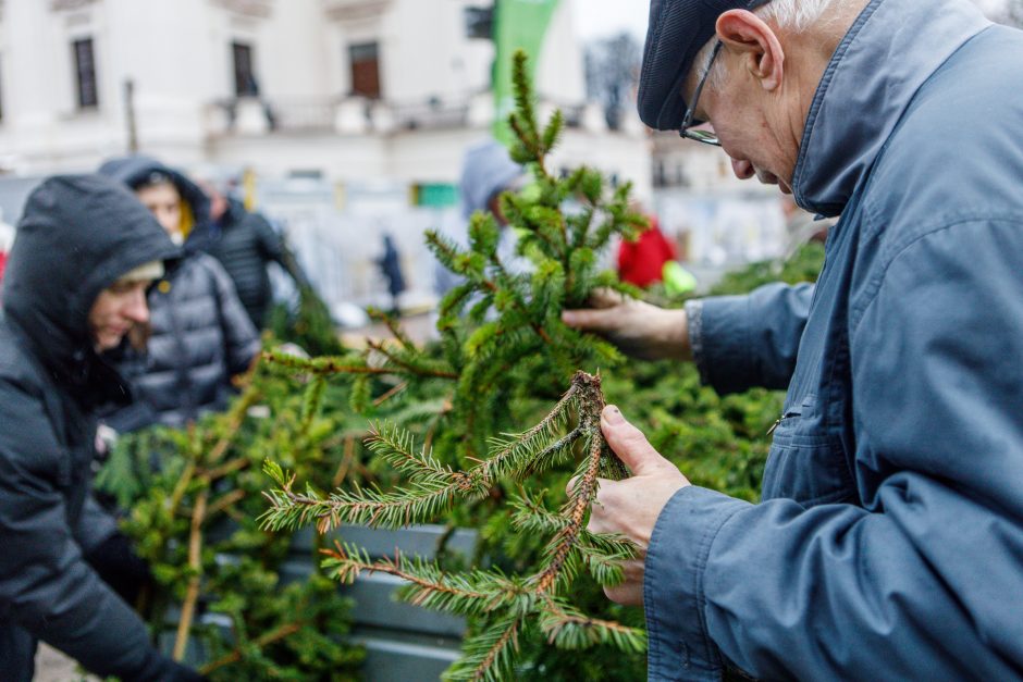 Kalėdos jau keliauja į kauniečių namus: prie nemokamų eglės šakų žmonių – kaip koncerte