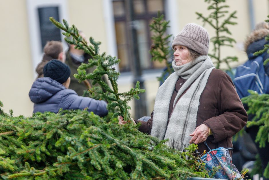 Kalėdos jau keliauja į kauniečių namus: prie nemokamų eglės šakų žmonių – kaip koncerte