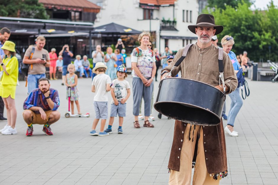 Žirafos atsibeldė iki Kauno pilies