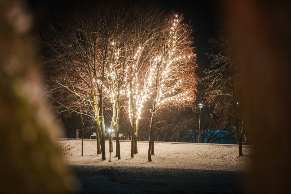 Visame Kaune – magiškas Kalėdų dvelksmas (nuotraukų galerija)