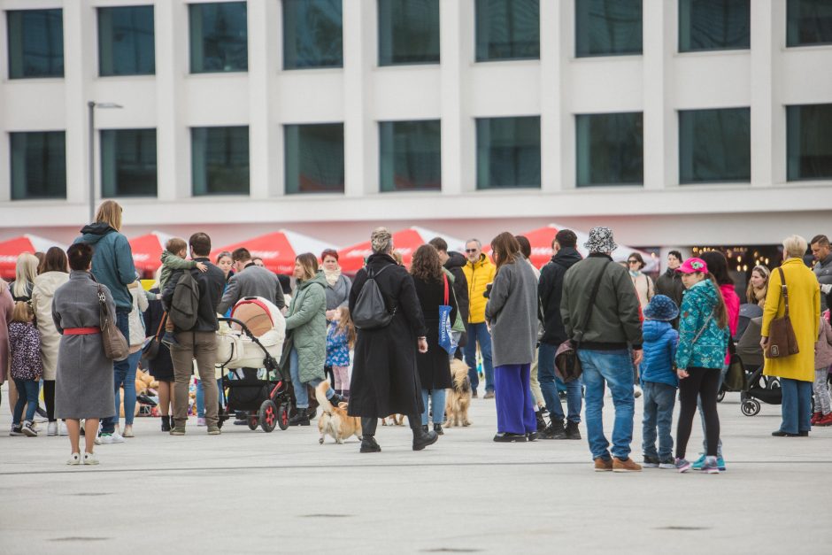 Motinos dieną Kaune – Ukrainos palaikymo akcija „Tai gali būti Jūsų vaikas“