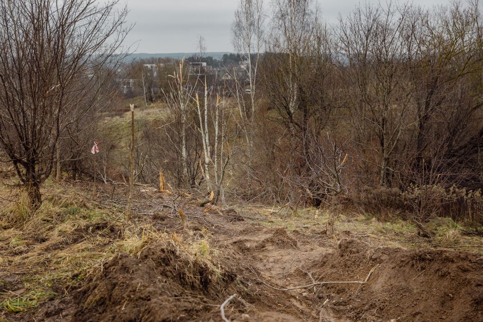 Savivaldybė: artimiausiomis dienomis lėktuvo avarijos vietą Vilniuje saugos šauliai