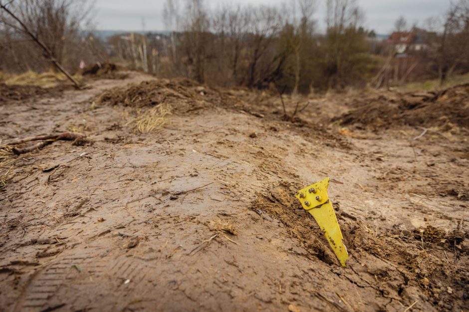 Savivaldybė: artimiausiomis dienomis lėktuvo avarijos vietą Vilniuje saugos šauliai