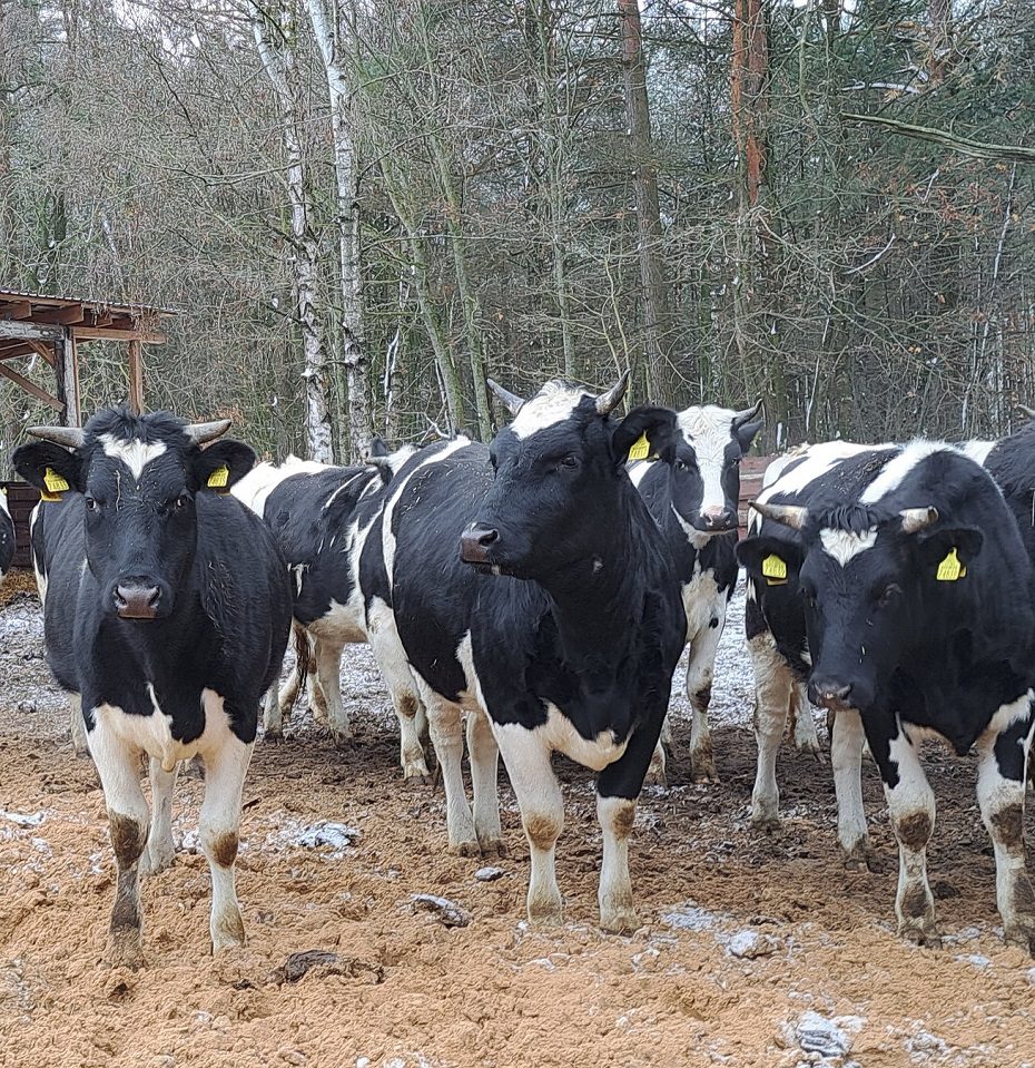 Investicijos į biosaugą padeda valdyti užkrečiamųjų ligų riziką