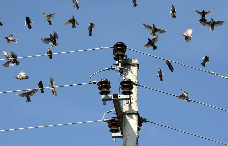 Reguliuotojai: sprendimai dėl bendros Baltijos šalių elektros rinkos – išanalizavus kaštus