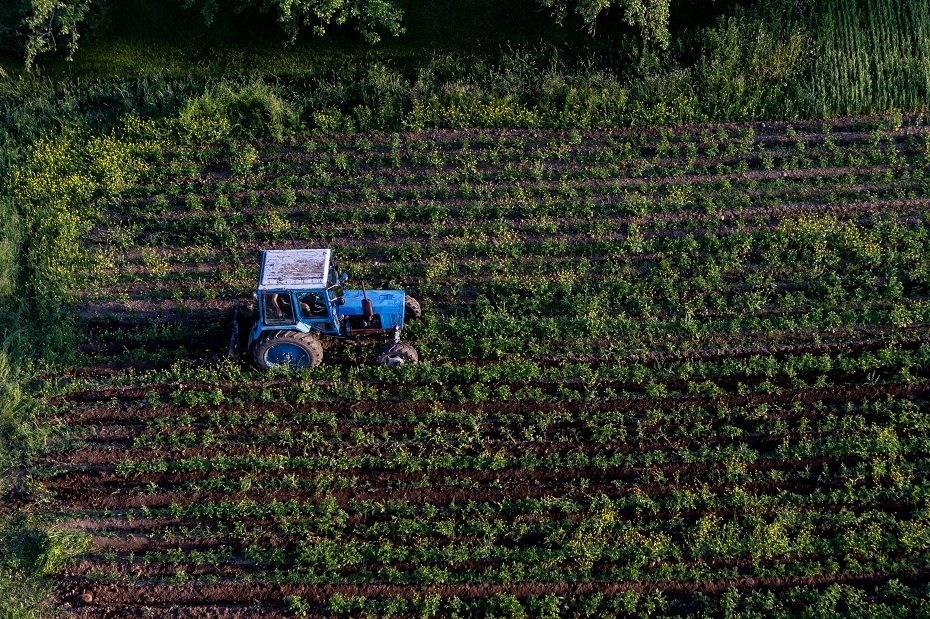 ŽŪM: žemdirbiai galės įsigyti dirbamos valstybinės žemės, tikimasi gauti iki 1,5 mlrd. eurų pajamų