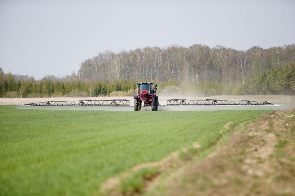 Tausojama žemė atsilygina gausesniu derliumi