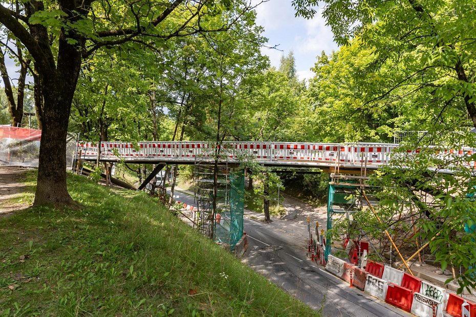 Pokyčiai Tauro kalno teritorijoje: genimi medžiai, planuojami nauji želdiniai