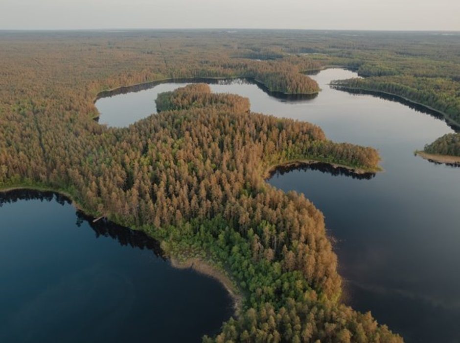 Paskelbta naujausia informacija apie Lietuvos gėlųjų vandenų būklę