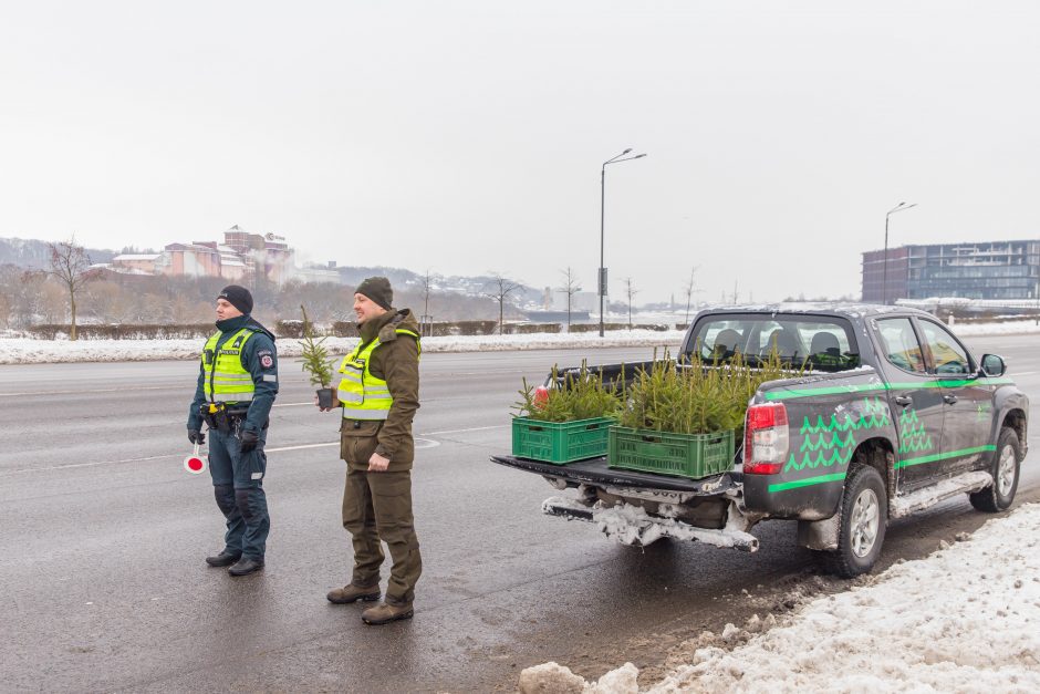 Vairuotojams – dovanos: miškininkai su policijos pareigūnais dalijo eglutes