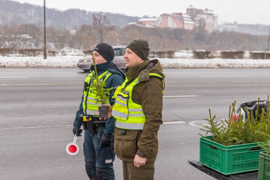 Vairuotojams – dovanos: miškininkai su policijos pareigūnais dalijo eglutes