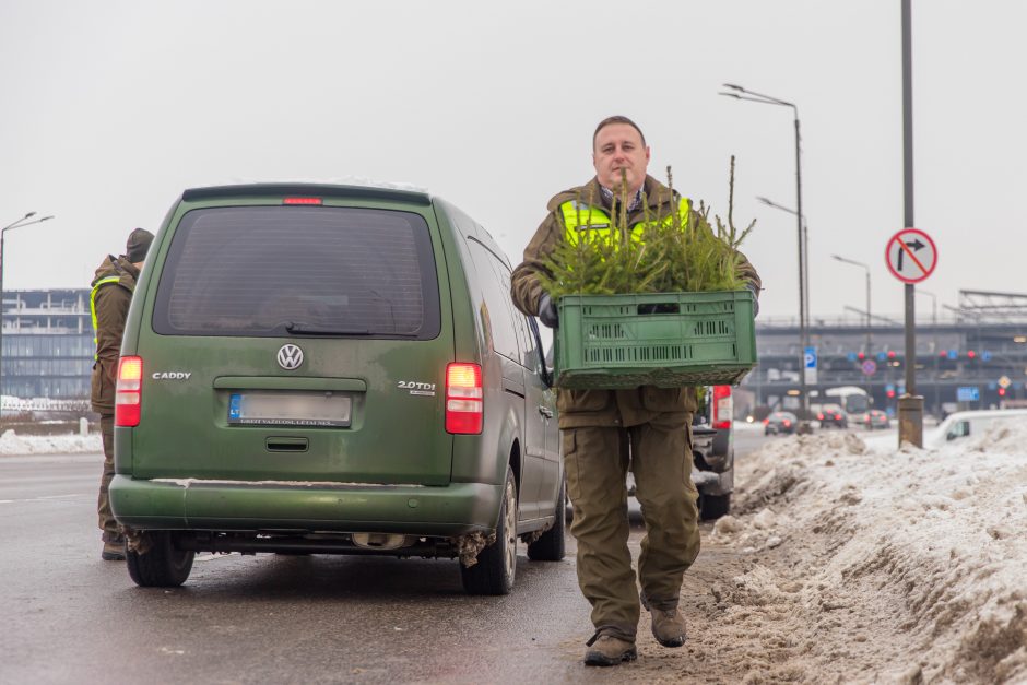 Vairuotojams – dovanos: miškininkai su policijos pareigūnais dalijo eglutes