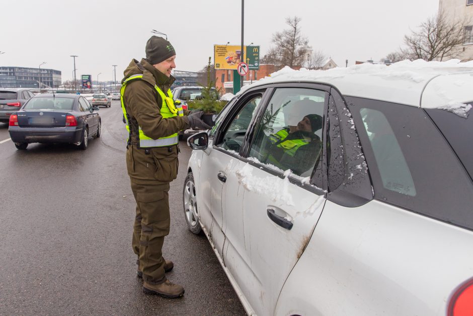 Vairuotojams – dovanos: miškininkai su policijos pareigūnais dalijo eglutes