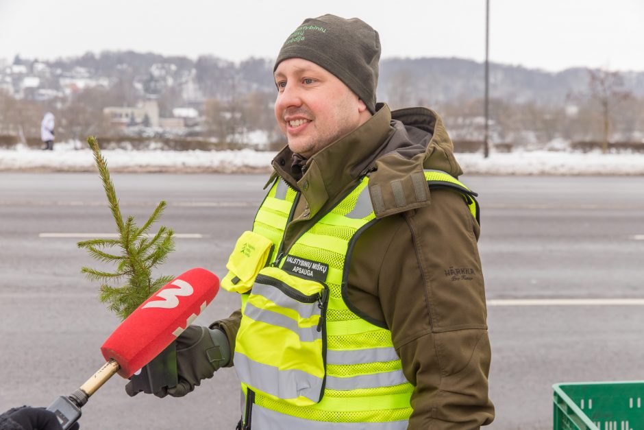 Vairuotojams – dovanos: miškininkai su policijos pareigūnais dalijo eglutes