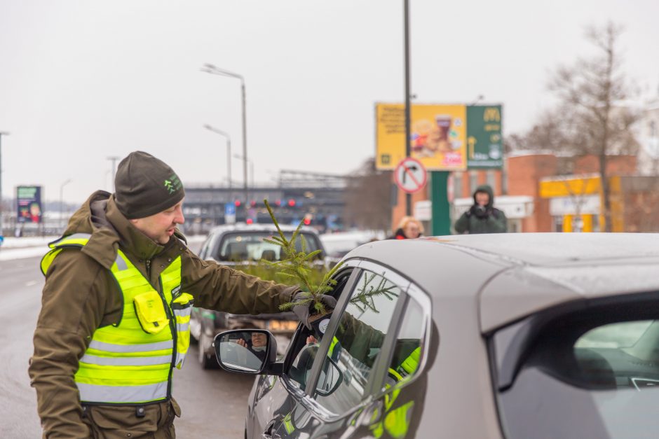 Vairuotojams – dovanos: miškininkai su policijos pareigūnais dalijo eglutes