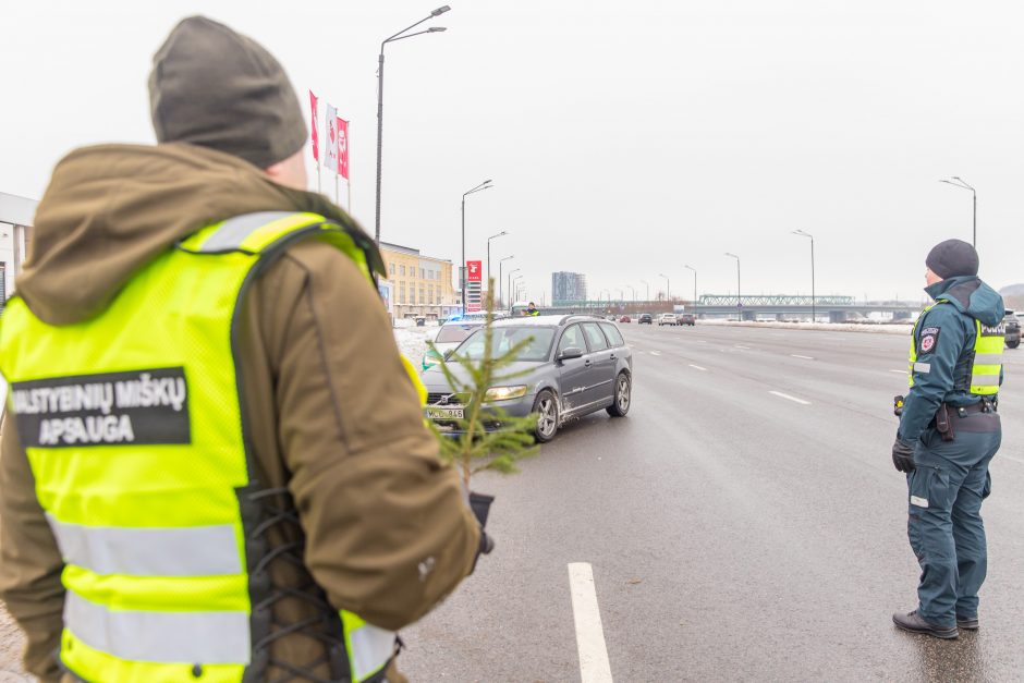 Vairuotojams – dovanos: miškininkai su policijos pareigūnais dalijo eglutes