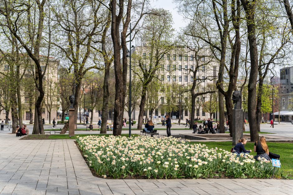 Kaune pradedamas fontanų sezonas