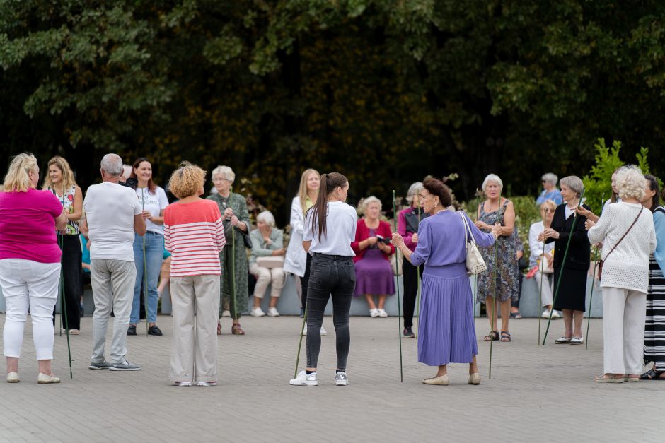 Senjorai palydėjo vasarą: azartiškos šachmatų partijos ir pasivaikščiojimai su bičiuliais