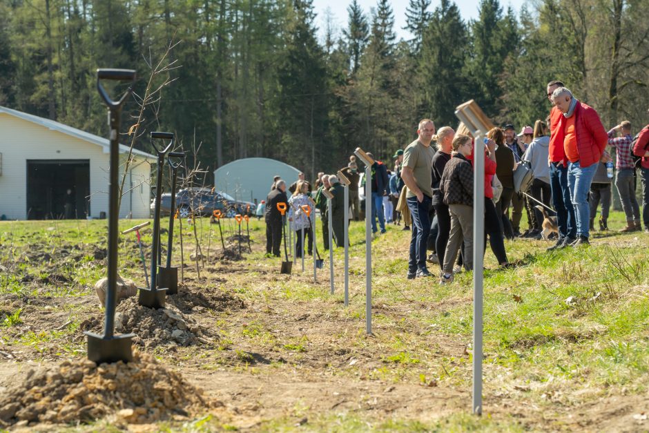 Pasodintas „Ukrainos aukų atminties ąžuolynas“