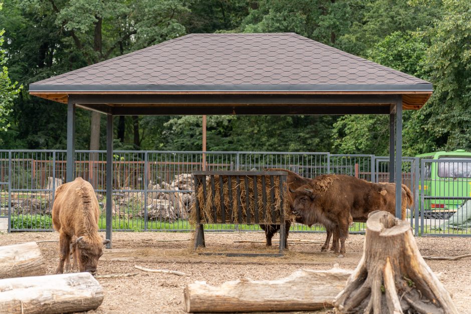 Lietuvos zoologijos sodas pirmą kartą po rekonstrukcijos švenčia gimtadienį