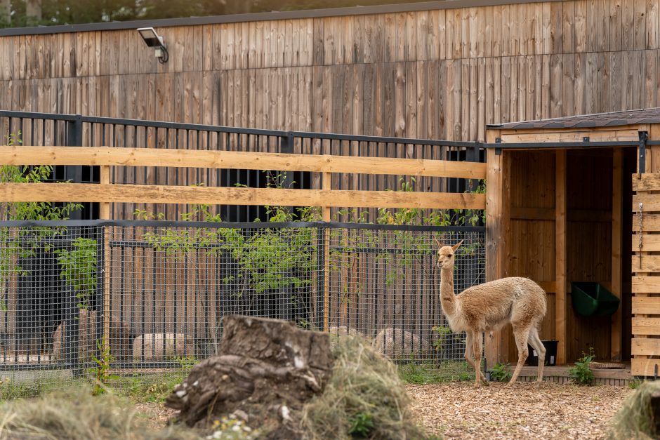 Lietuvos zoologijos sodas pirmą kartą po rekonstrukcijos švenčia gimtadienį