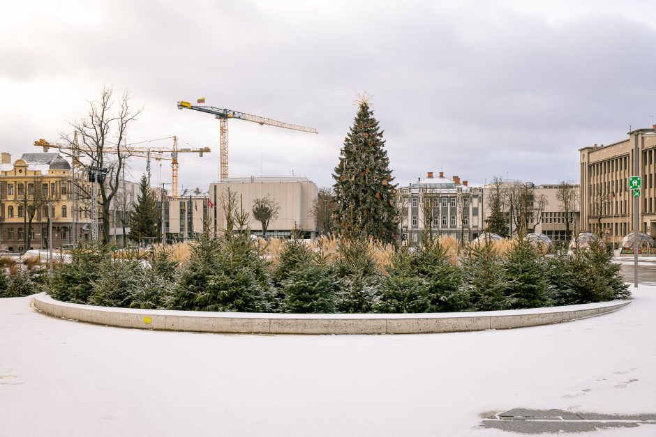 Paskubėkite: tai paskutinės dienos pasidžiaugti Kauno kalėdine eglute