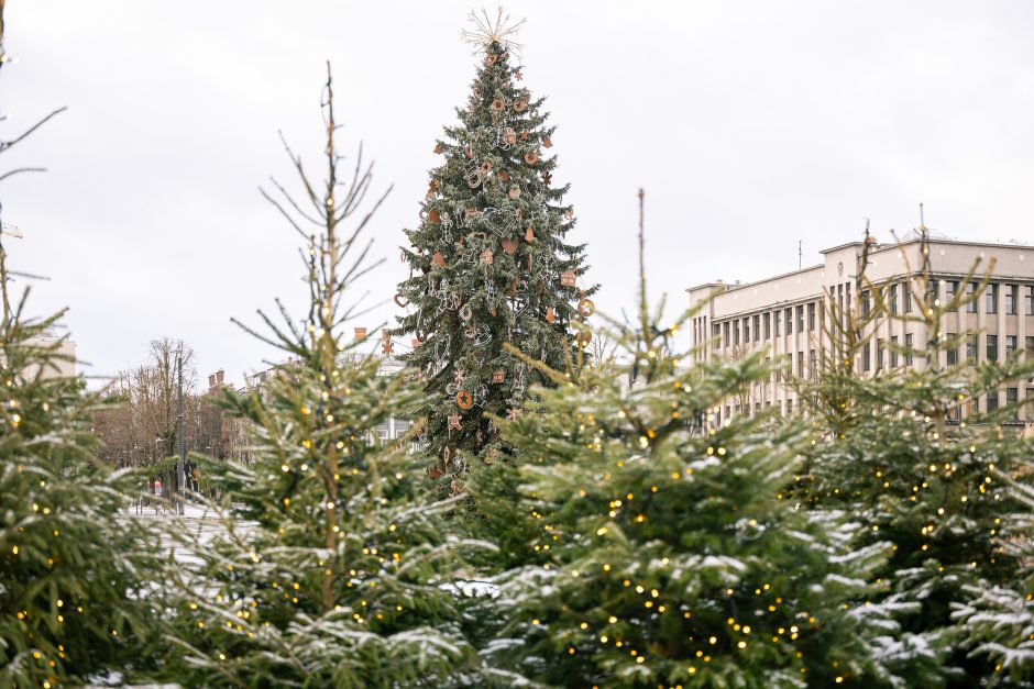 Paskubėkite: tai paskutinės dienos pasidžiaugti Kauno kalėdine eglute