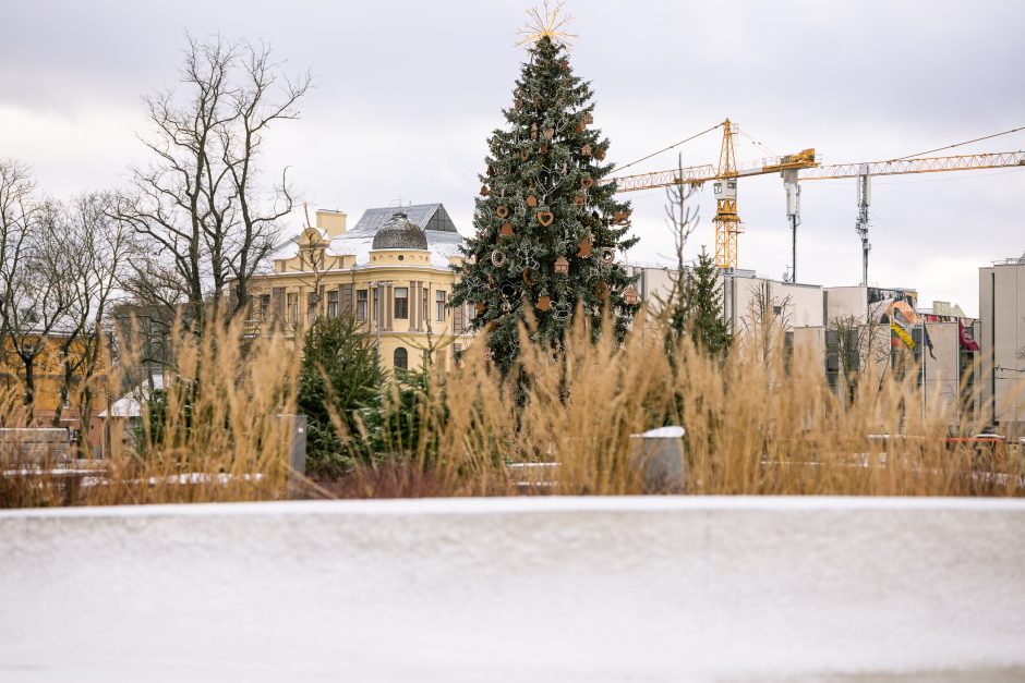 Paskubėkite: tai paskutinės dienos pasidžiaugti Kauno kalėdine eglute