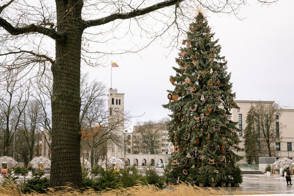 Paskubėkite: tai paskutinės dienos pasidžiaugti Kauno kalėdine eglute