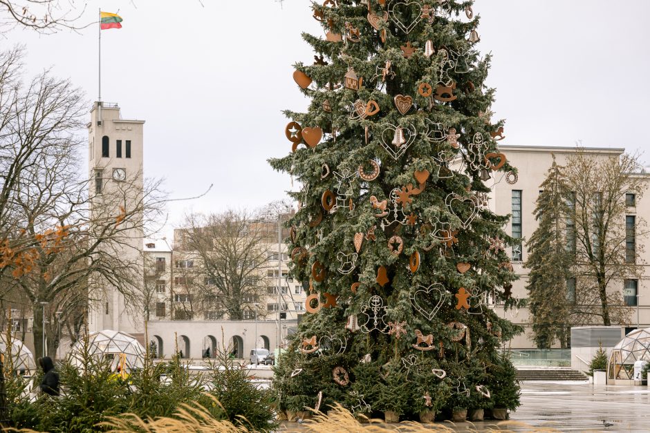 Paskubėkite: tai paskutinės dienos pasidžiaugti Kauno kalėdine eglute