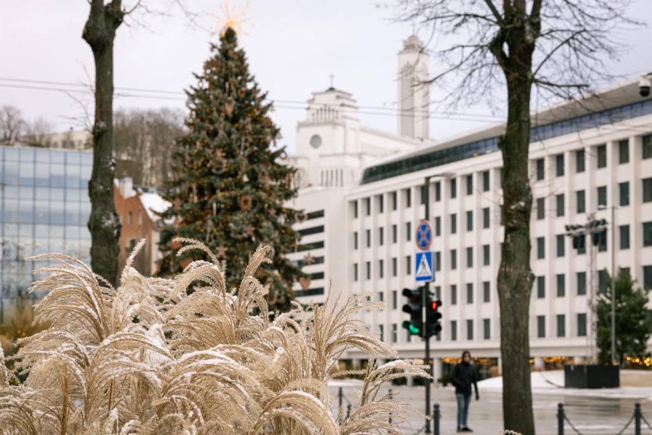 Paskubėkite: tai paskutinės dienos pasidžiaugti Kauno kalėdine eglute