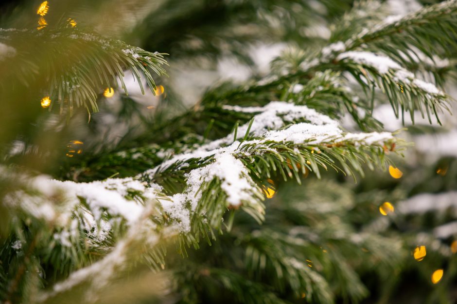 Paskubėkite: tai paskutinės dienos pasidžiaugti Kauno kalėdine eglute