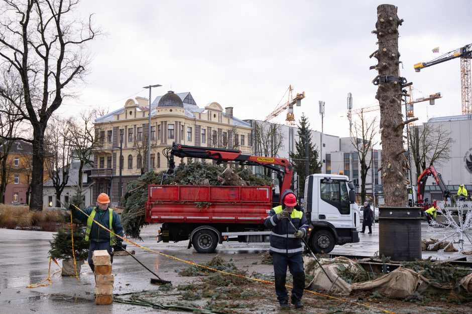 Nupuošta Kauno kalėdinė eglė – jau nebe gražuolė