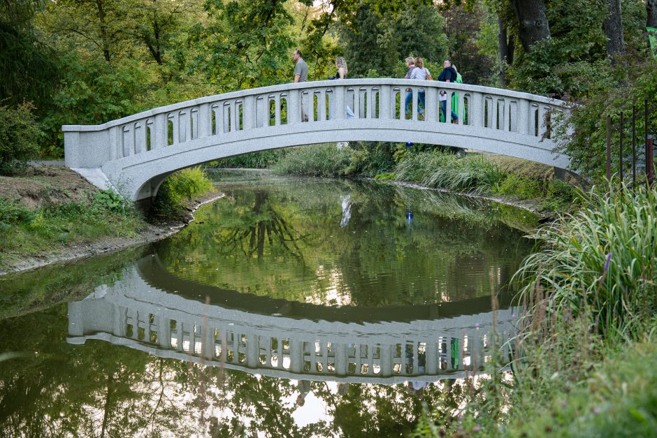 „Botaninės naktys 2024 – Bobų vasara“