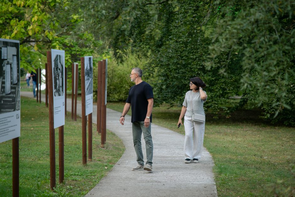 „Botaninės naktys 2024 – Bobų vasara“