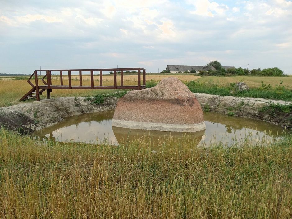 Į Žagarės kraštą – pamatyti Brolių akmens ir storiausio šermukšnio