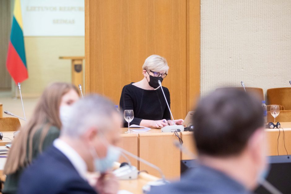 I. Šimonytė kol kas nemato pagrindo keisti ministrų