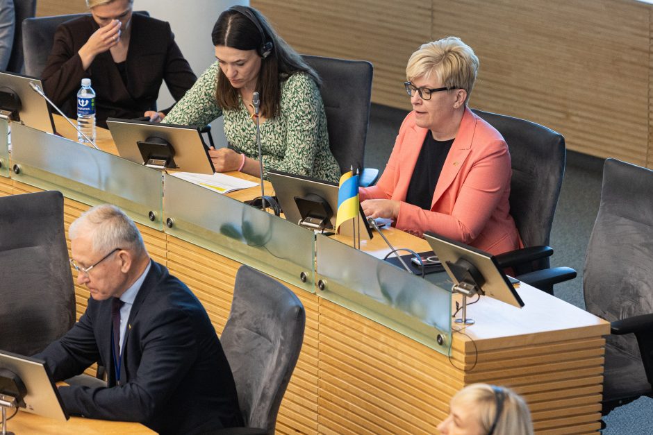 G. Landsbergis: pirmalaikius rinkimus siūlome vietoje „trijų ministrų Golgotos“